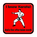 I know Karate Humorous Attitude T-shirt