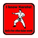 I know Karate Humorous Attitude T-shirt