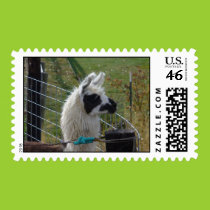 I know that I am attractive Postage stamps
