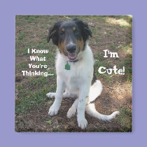 I Know What You're Thinking..., I'm Cute! magnets