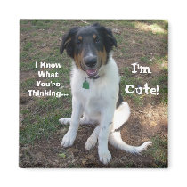 I Know What You're Thinking..., I'm Cute! magnets