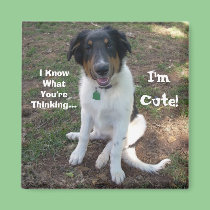 I Know What You're Thinking..., I'm Cute! magnets