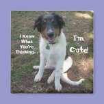 I Know What You're Thinking..., I'm Cute! magnets