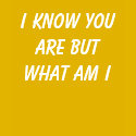 I KNOW YOU ARE BUT WHAT AM I Women's t-shirts by trippychicken I KNOW YOU ARE BUT WHAT AM I Women's t-shirts