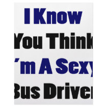 I Know You Think I'm A Sexy Bus Driver Letterhead
