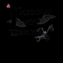 I Know You Wanna