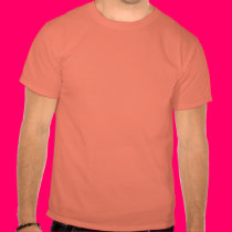i like big butts and i cannot lie t-shirts