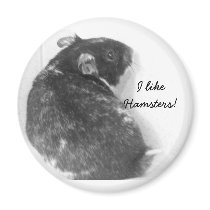 I like Hamsters! Magnet