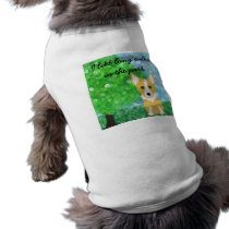 I like long walks in the park. Corgi pet clothing