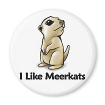 I Like Meerkats magnets