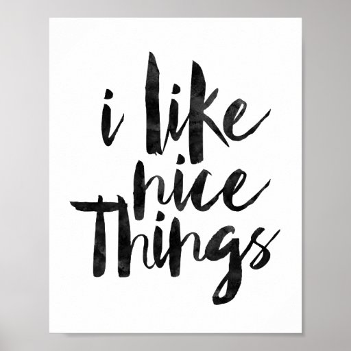 I Like Nice Things Poster Zazzle