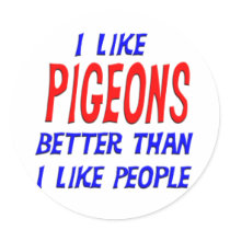 I Like Pigeons Better Than I Like People Sticker