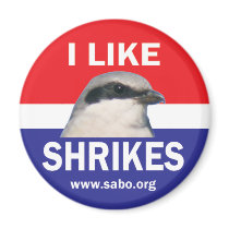 I Like Shrikes Magnet magnets