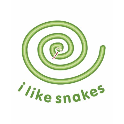 I Like Snakes T-shirt by evisionarts