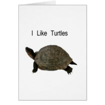 i like Turtles Cards