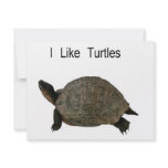 i like Turtles Personalized Invitation
