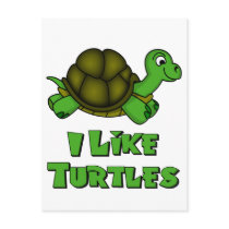 I Like Turtles Post Card