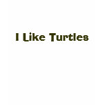 I Like Turtles T Shirt