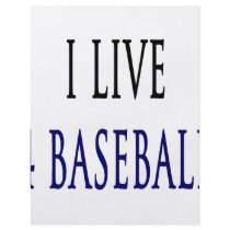 I Live 4 Baseball Flyers