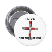 I Live For The Moment (Magnetic Quadrupole Moment) Button