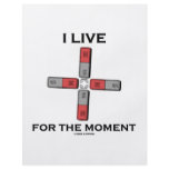 I Live For The Moment (Magnetic Quadrupole Moment) flyers