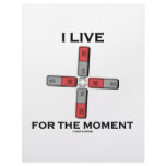 I Live For The Moment (Magnetic Quadrupole Moment) Letterhead