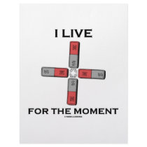I Live For The Moment (Magnetic Quadrupole Moment) Letterhead