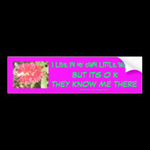I LIVE IN MY OWN LITTLE WORLD bumper stickers by georgemeyer I LIVE IN MY OWN LITTLE WORLD bumper stickers