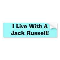 I Live With A Jack Russell Bumper Sticker bumper stickers