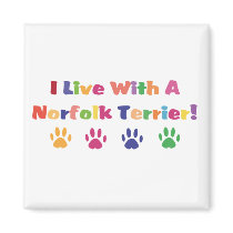 I Live With A Norfolk Terrier magnets by mrscookiedog I Live With A Norfolk Terrier magnets