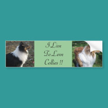 I LiveTo LoveCollies !! bumper stickers