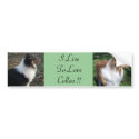 I LiveTo LoveCollies !! bumper stickers