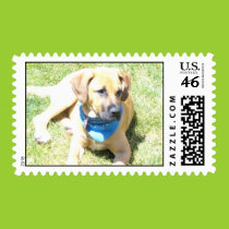 I look pretty postage ! stamps