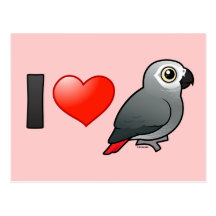 I Love Africa Greys Post Cards