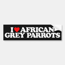I LOVE AFRICAN GREY PARROTS BUMPER STICKER