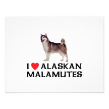 I Love Alaskan Malamutes Announcement