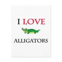 I Love Alligators Postcard