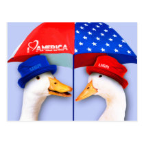 I Love America. Fun US Patriotic Postcards postcards