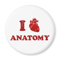i love anatomy2 magnets