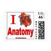 I Love Anatomy Postage Stamps