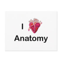 I Love Anatomy with human heart! Postcards