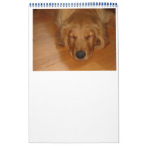I love Animails Calendar