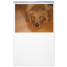 I love Animails Calendar