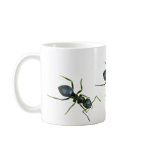 I love ants! coffee mug