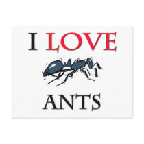 I Love Ants Postcard