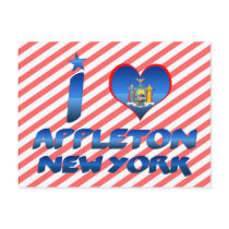 I love Appleton, New York Postcard