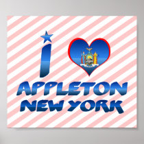 I love Appleton, New York Posters