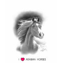 I Love Arabian Horses T-Shirt