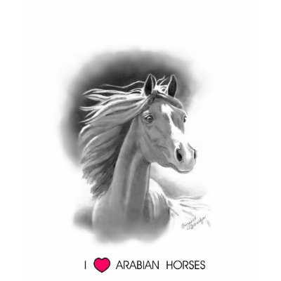 I Love Arabian Horses T-Shirt by Zannie947