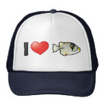 I Love Arabian Picassofish Mesh Hat